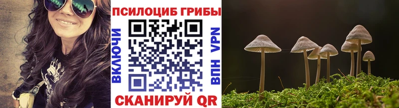 Галлюциногенные грибы Psilocybine cubensis Купить где Кувандык